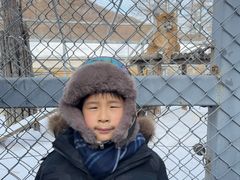 -横道河子东北虎林园