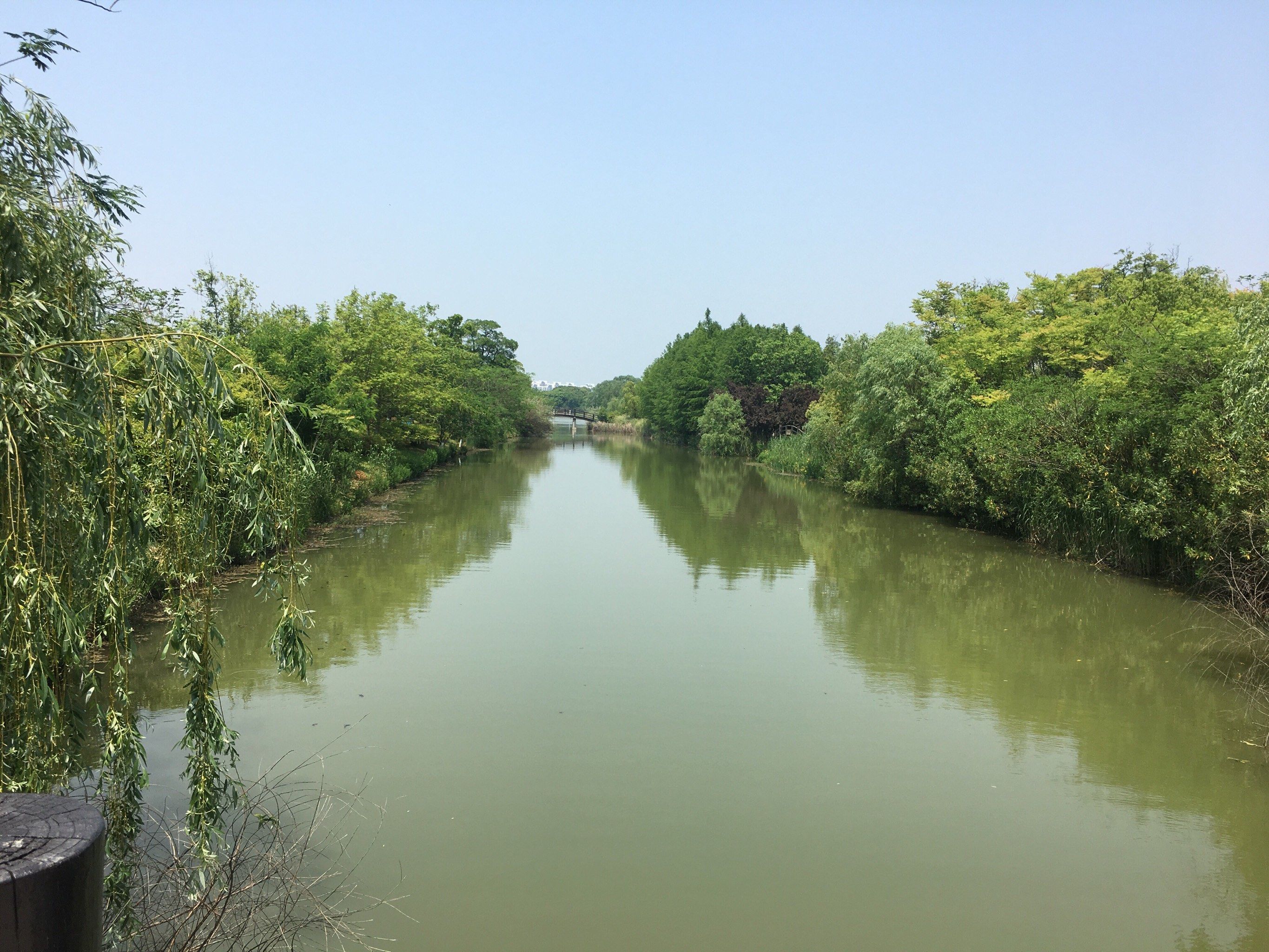 湿地公园
