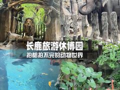 -长鹿旅游休博园