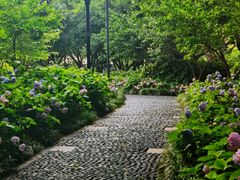 -常州古运河南大街文化旅游区-人民公园