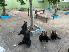 -西霞口神雕山野生动物世界