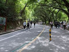 -大雁山风景区