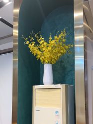点击看大图 -卡尔诗·科技美肤连锁