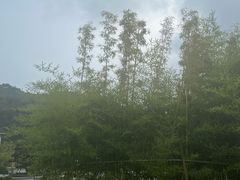 -远洲凤凰山庄臻味全日餐厅
