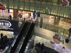 -鹏欣水游城