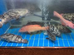 -阳光码头海鲜火锅(世纪大道店)