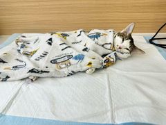 -达爱动物医院·犬猫分区·CT·复杂眼科(远洋山水分院)