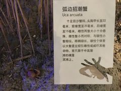 -上海长江河口科技馆