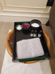 -奥斯芬欧系贵族SPA