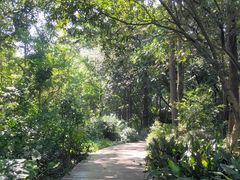 -广西壮族自治区药用植物园