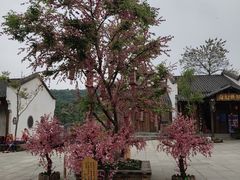 -婺源梦里老家大型山水实景演出