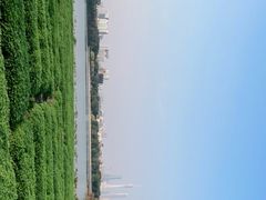-海珠湖公园