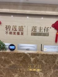 -碧莲盛·不剃发植发