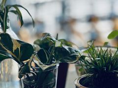 -稻田秋(怡美广场店)