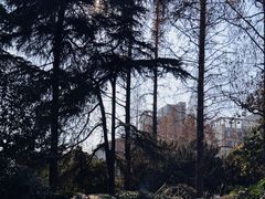 -郑和公园