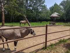 -大连森林动物园