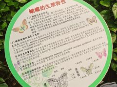 -上海大自然野生昆虫馆(东方明珠·爬宠昆虫探索中心)
