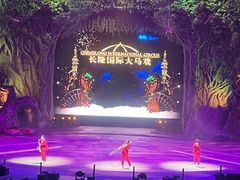 -广州长隆国际大马戏