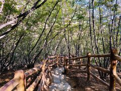 -黑龙潭风景区