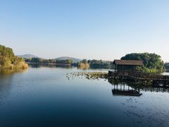 -上海市保健医疗中心