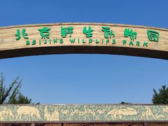 -北京野生动物园