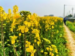 -中国天府农业博览园