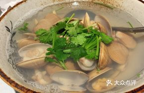 Qingdao Big Fat Clams