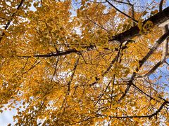 -南京东郊国宾馆