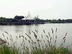 android_upload_pic-上海都市菜园