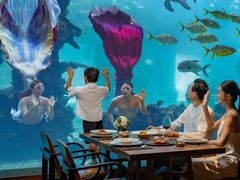 -海棠湾洲际-涛·海底餐厅·美人鱼·自助餐·海底隧道