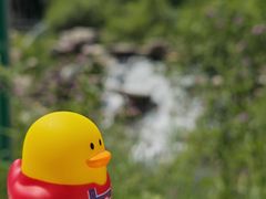 -黛秀湖公园