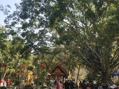 -西双版纳傣族园
