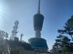 -梧桐山风景名胜区