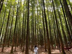 -山王坪喀斯特国家生态公园