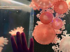 -多彩贵州城极地海洋世界