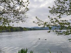 -西湖风景名胜区(西湖)
