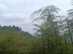 -莫干山风景区