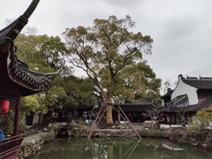 -上海醉白池公园