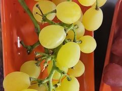 -马陆小张葡萄园农家乐