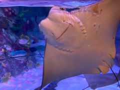 -沈阳海洋探索中心