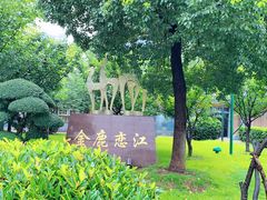 -武昌江滩