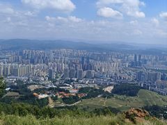 -长虫山生态公园风景林