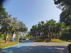 -宝安西湾红树林湿地公园