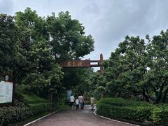 -大屏嶂森林公园