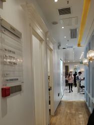 -YESIDO椰岛造型