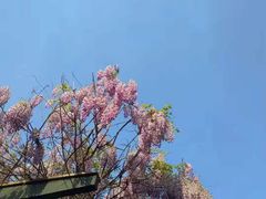 -恭王府博物馆