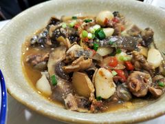 小炒甲鱼-新新湘菜馆(新中街二条店)