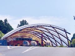 -怀托摩萤火虫洞