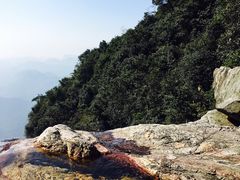 -天门沟九州驿站树上汤泉