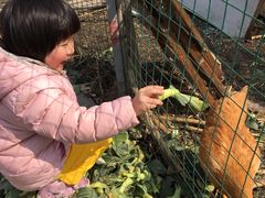 -青浦采草莓天天草莓园